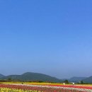 보롬제주