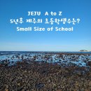 제주Jeju섬