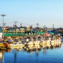 소래포구 이미지