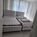 신진SS | 추석맞이 건강 선물 흙침대 인기 급상승! 후기 모음