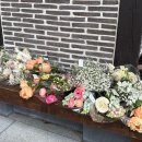 선(sun)빨래방 | 2025.03૮・ᴥ - ა