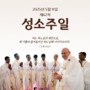 25/05/11 [담화] 2025년 제62차 성소 주일 교황 담화 이미지