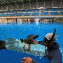 씨유전주우아대로점 | 전주 프리다이빙 물중독 크루 추천 후기💙