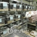 화장품판매 - 광진구 아차산로51길 86 | 화장품판매