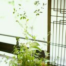 참좋은인연 이미지