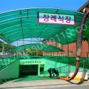 삼육공사 이미지