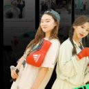 ODBC 오픈도어복싱센터 이미지