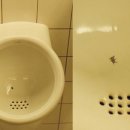 디자인프렙