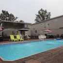 솜니움트리 이미지