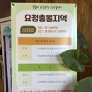하남 돌아기랑 갈만한 동물카페 요정출몰지역 후기