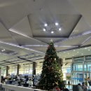 파인(FINE) 관광호텔 | 가오슝 여행 1일차| 가오슝 공항에서 시내가는법-로얄 파인 호텔-리우허 야시장-리콜 비스트로