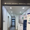 24시 블레스동물메디컬센터 | 동백역 24시 동물병원[블레스동물 매디컬센터]- 강아지십자인대파열 수술