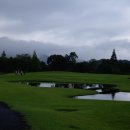 그린힐 앞 이미지