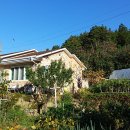 엄마의별장 이미지