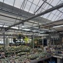 래미안-GS주유소 횡단보도 | 초보 식집사의 노은화훼단지 방문기 - ✨인기✨ 가게들 탐방