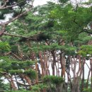 진죽저수지1 화장실 | [충북/제천] 가볼만한곳: 우리나라에서 가장 오래된 저수지 '의림지' 솔직후기 | 주차장 여부