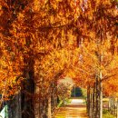 나주자원 이미지