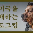 '미국을 지배하는 Dog King' & 한국서 가장 쓸데없는 직업군은? 이미지