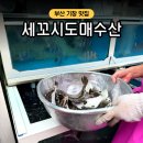 기장시장공영주차장 입구 | 부산 기장시장 횟집 세꼬시 도매 수산 봄 도다리 시세 포장 가격