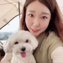 THE PLAY(더플레이) 이미지