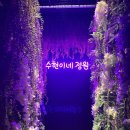 정원포차 - 순천시 | 정원포차