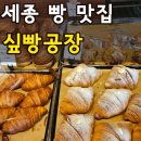 디엠소프트 | 세종 빵집 보람동 카페 싶빵공장 내돈내산 추천빵 BEST3 솔직후기