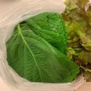 야탑1주민센터 내 이미지