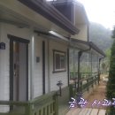 금관사과향기 이미지