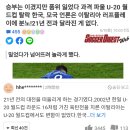 한국 U-20 월드컵 4강 탈락 일본 야후재팬 반응.jpg 이미지