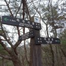 진관-049 이미지