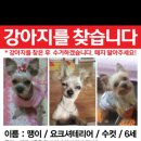 맹방초교 이미지