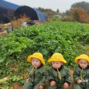 은호농장 이미지