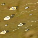 우리 아이 돌직구 성교육 이미지