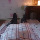 엔자임힐링마사지전통경락안마원 이미지