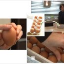 광장유통 이미지