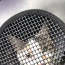 쿨펫동물병원(이마트군산점) 이미지