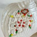 제주펫스쿨 이미지