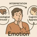 감성과학 이미지