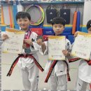 푸른태권도 이미지