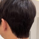 모델헤어타운