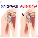 하나조이주 네이버블로그