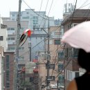 악성임대인에게 전세금 떼인 피해자 중 78%는 2030… 피해금액도 가장 많아