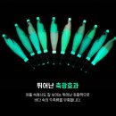 비다컴퍼니 이미지