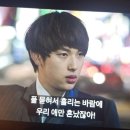 원인터네셔널 | 새끼 오리다..🐣