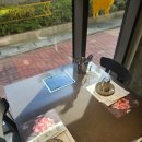 3533 | 대전 문화동 맛집 추천 데이트 장소 고민 끝! 양고기 맛집 찾는다면 여기! 양미미에서 감동한 데이트 후기