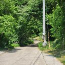 아름다운 산장 | 포항 여행 : 산 중턱 녹음이 짙은 힐링 카페, 선류산장