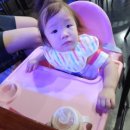 단짠아쿠아 삼천점 | 전주 단짠아쿠아 삼천점 ! 아이랑 갔다가 어른이 더 즐기고 온 후기