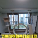 김포드림캣 | 고양이캣휠캣타워시공 조립출장대행