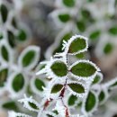 A song of  이미지