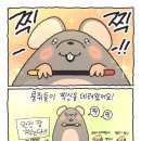 찍사유